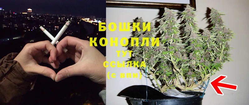 закладка  Оса  kraken вход  Бошки марихуана сатива 